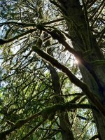 IMG_6015.jpeg
