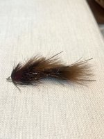 IMG_6651.jpeg