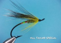 Will Taylor Special.jpg