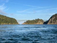 IMG_3246.jpeg