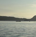 IMG_3241.jpeg