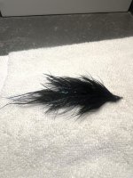 IMG_6653.jpeg