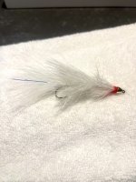 IMG_6654.jpeg