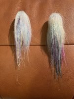 IMG_4841.jpeg