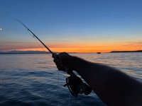 IMG_7703.jpg