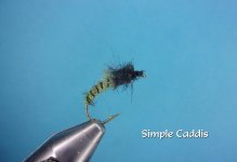 Simple Caddis3.jpg