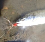 IMG_3300.jpeg IMG_3300.jpeg