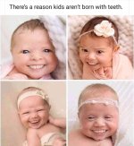 IMG_3307.jpeg