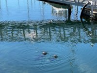 IMG_3309.jpeg