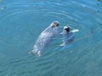 IMG_3312.jpeg