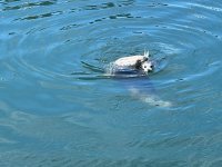 IMG_3314.jpeg