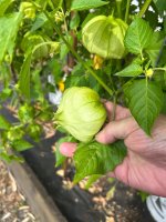 IMG_1513.jpeg