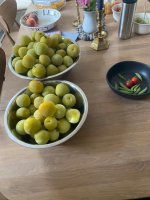 IMG_5595.jpeg
