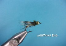 Lightning Bug.jpg