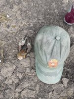 IMG_8803.jpeg