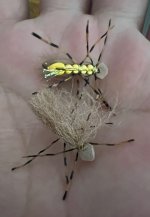 IMG_3907.jpeg