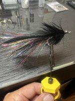 IMG_6680.jpeg