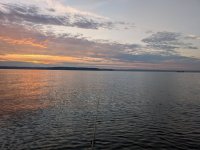 PXL_20250801_125521373.MP.jpg