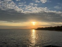 IMG_3329.jpeg