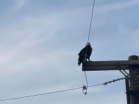 IMG_3332.jpeg