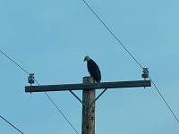 IMG_3333.jpeg