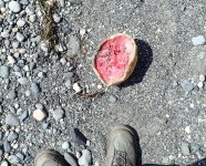 IMG_3345.jpeg