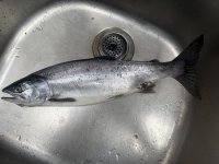 IMG_0270.jpeg