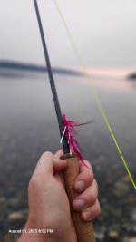 20250801_205214.jpg