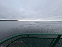IMG_8520.jpeg