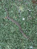 IMG_9381.jpeg
