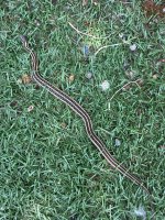 IMG_9381.jpeg