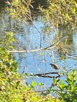 IMG_9400.jpeg