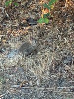 IMG_9397.jpeg