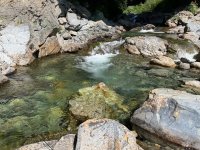 IMG_4518.jpeg