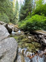 IMG_4589.jpeg
