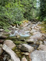 IMG_4595.jpeg