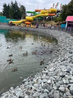 IMG_4641.jpeg