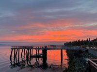 IMG_3397.jpeg