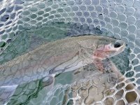IMG_9233.jpeg IMG_9233.jpeg