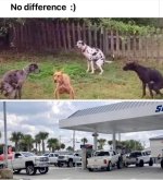 IMG_3352.jpeg