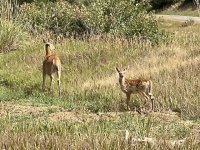 IMG_4298.jpg