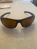 IMG_7499.jpeg