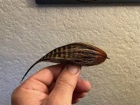 IMG_4850.jpeg