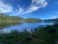 IMG_3234.jpg