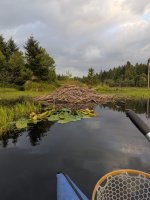 PXL_20250805_024444486.jpg