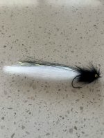 IMG_6700.jpeg