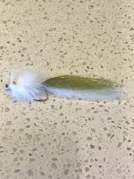 IMG_6701.jpeg