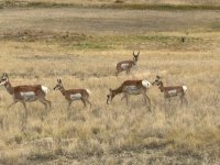 IMG_4299.jpg