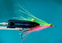 IMG_1353.jpeg
