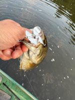 IMG_0598.jpeg